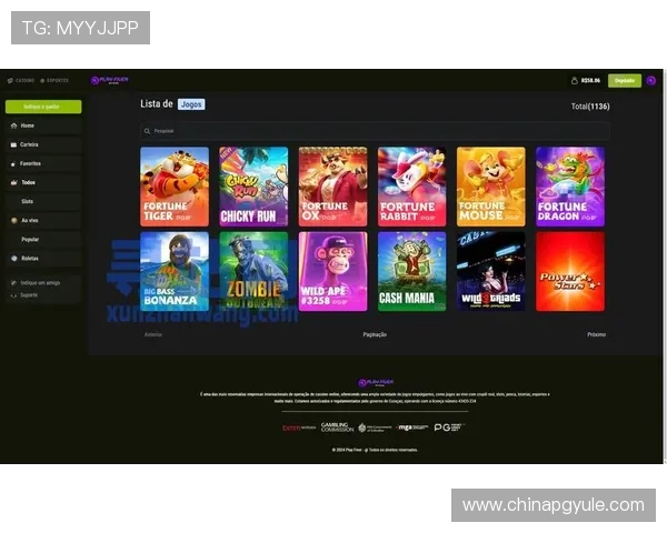 pg娱乐国际官网入口网址安全可靠登录指南，保障用户账号信息安全与顺畅体验