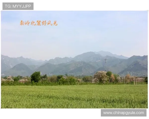 PG巴厘之旅手机版策略揭秘，助你在激烈竞争中稳占优势的实用攻略分享